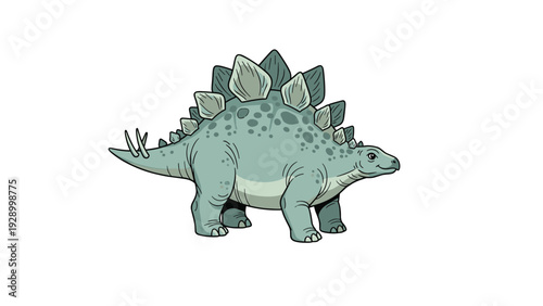 Detailed cartoon illustration of a stegosaurus dinosaur with green skin and grey plates standing on a plain white background for education.