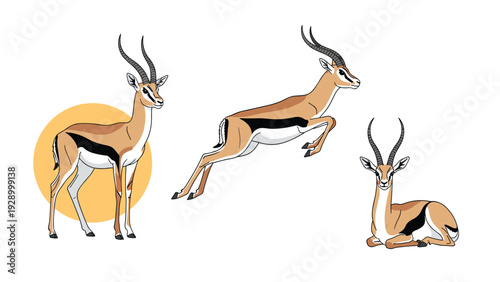 Collection of three gazelle antelopes in standing, leaping, and resting poses with long horns on a white background for decals.