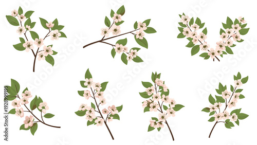 Set of seven delicate cherry blossom branches with light pink flowers and green leaves for spring and wedding decorations.