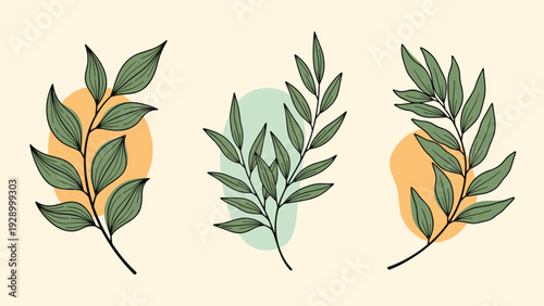 Three green leafy branches are layered over abstract colorful shapes in a modern and organic vector illustration with a natural feel.