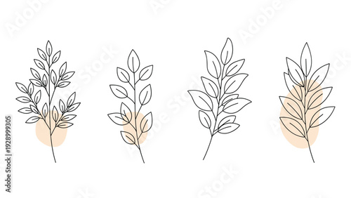 Set of four minimalist leafy branches in black line art is accented with soft orange shapes on a clean white background for modern decor.
