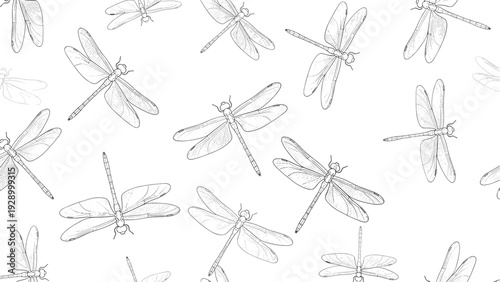 Detailed seamless pattern features numerous line drawn dragonflies in black ink against a white background for an elegant natural motif.