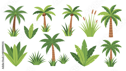 Large collection of tropical palm trees and desert plants with grasses for landscape design and travel themed projects.