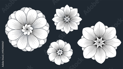 Collection of four intricate white flower mandala designs with fine line details on a dark grey background for artistic prints.