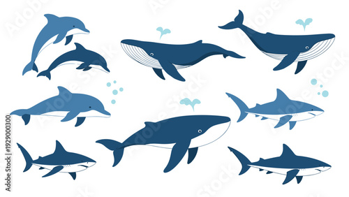 Large set of blue and white illustrations featuring different species of whales, dolphins, and sharks on a white background.