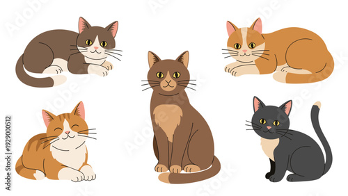 Set of adorable domestic cat illustrations showing different breeds and coat colors in various sitting and lying positions on white.