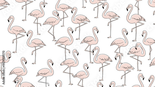Charming seamless pattern showing many pink flamingos in various poses standing and cleaning themselves on a white background.