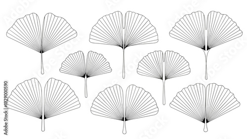 Collection of eight ginkgo biloba leaf illustrations in fine line art style displaying characteristic fan shapes for nature designs.