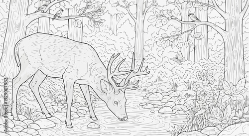 Coloring Page for Kids — Deer by Clear Forest Stream, Harmony of Animal and Landscape