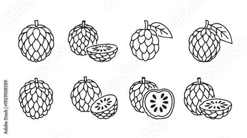 Custard Fruit Collection Line Art Icons Whole and Halved with Leaf