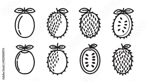 Exotic Fruit Illustrations: Whole and Sliced Passion Fruit Line Art Icons
