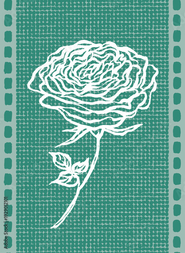 Elegant Japanese-inspired background featuring a white hand-drawn rose on a sage green textured field. Intricate stippled etching and a dashed border create a serene, artisan look.