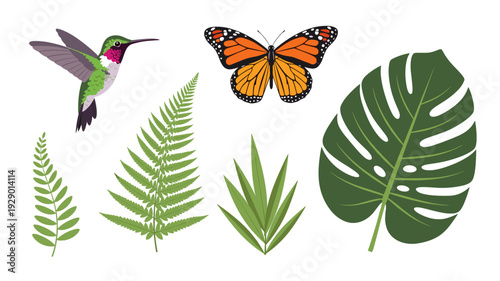 A vibrant collection of tropical flora and fauna, featuring a colorful hummingbird, a monarch butterfly, and various green leaf types, all isolated on a pristine white background.