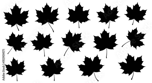 Wallpaper Mural Multiple black maple leaves arranged in a repetitive pattern against a white background. Torontodigital.ca