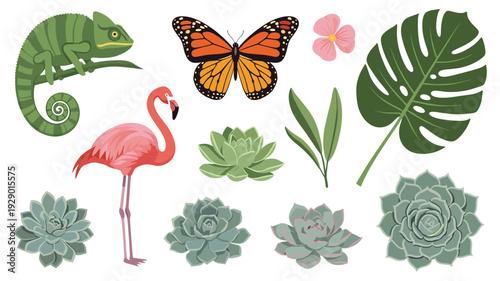 A vibrant collection of tropical flora and fauna, including a chameleon, flamingo, monarch butterfly, and various succulents, perfect for exotic design projects.