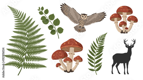 A captivating collection of forest elements including an owl, deer silhouette, various mushrooms, and lush green ferns, perfect for nature-themed designs.