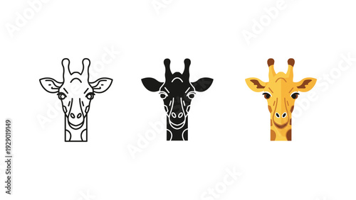 Three cartoon giraffes smiling isolated on white background vector illustration animals
