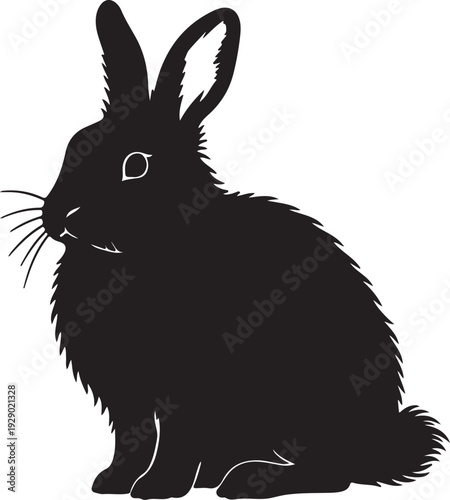 Angora Rabbit in silhouette on white background.