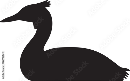 crested grebe in the water on white background.