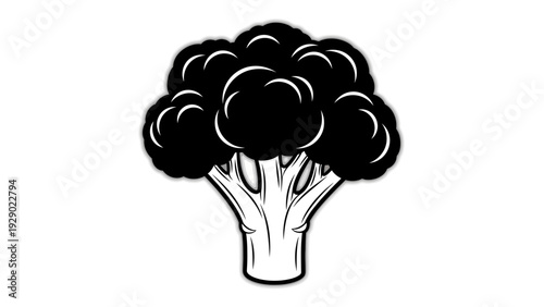 Broccoli Vegetable Healthy Food Illustration.