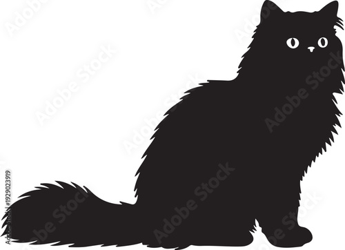Persian Cat in silhouette on white background.