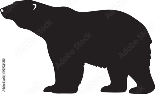  Polar Bear in silhouette on white background.