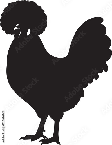 Bild auf Leinwand Polish Chicken in silhouette on white background.