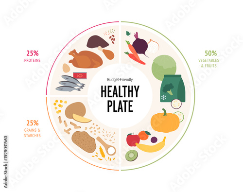 Vector flat infographic of a budget healthy plate with macronutrient percentages. Chart shows 50 percent fruits and vegetables, 25 proteins, 25 grains. Cheap diet meal planning guide and diagram.