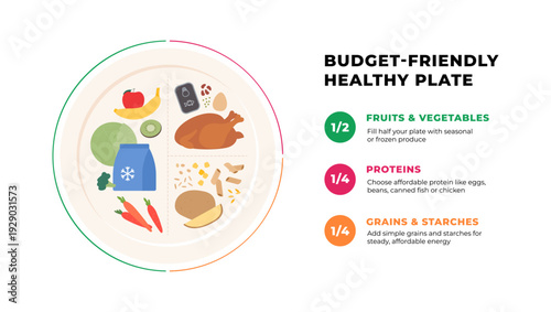 Vector flat infographic of a budget-friendly healthy plate. Meal planning guide divided into half vegetables, quarter protein, quarter grains with cheap food icons. Perfect for diet charts.
