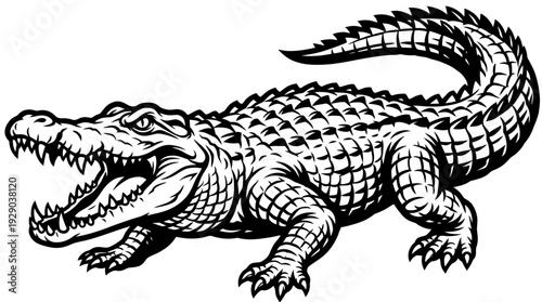 Dynamic illustration of a roaring alligator, captured in a menacing attack stance. This powerful reptile artwork highlights its predatory nature and sharp features, perfect for various design projects
