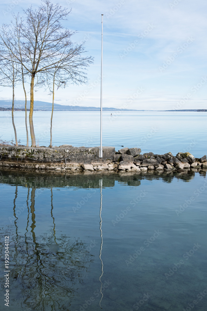 Fototapeta premium Rive paisible du lac Léman à Genève avec arbres dépouillés et reflets dans l'eau calme