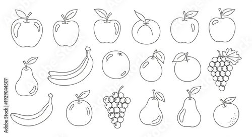 Collection of hand drawn fruit illustrations in outline style.