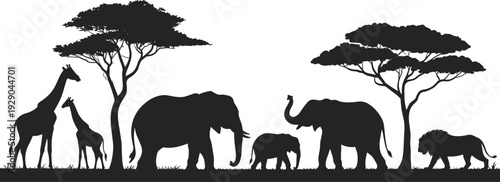 African, safari, wildlife, silhouettes, with, elephants, giraffes, lions, acacia, trees, savanna, landscape, nature, conservation, illustration, isolated, black, white, background, panorama