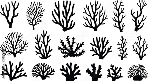 Black coral silhouettes collection, marine reef branch shapes, underwater sea life icons set, minimal vector illustration, isolated white background design
