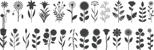 Hand drawn wildflower silhouettes botanical set, black floral icons collection, minimalist vintage plant illustrations isolated on white background, design assets