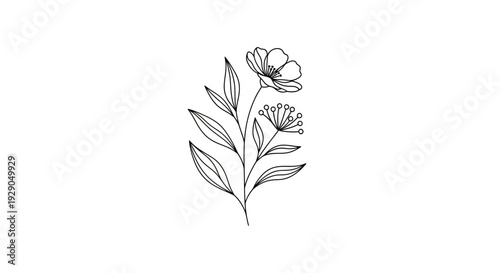A line drawing of a flower.