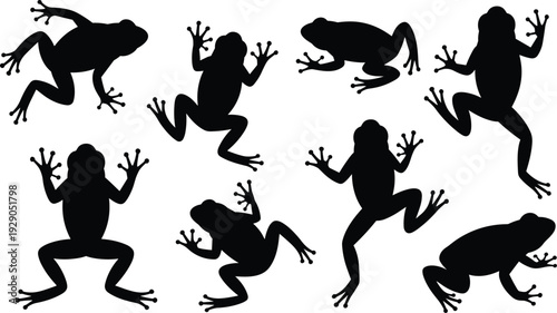 Black frog silhouettes set isolated on white background, amphibian jumping poses, wildlife vector illustration collection, minimalist, nature, design, elements, bundle