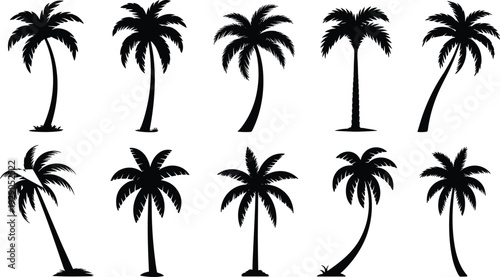 Black palm tree silhouettes set, tropical coconut palms collection, summer beach nature icons, isolated vector design on white background