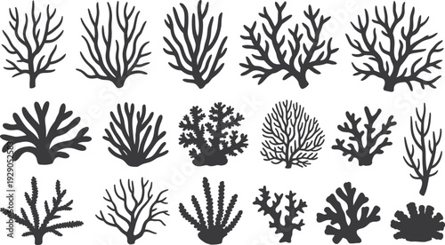 Marine coral silhouettes vector set, underwater seaweed shapes collection, ocean reef elements, black botanical icons isolated on white background