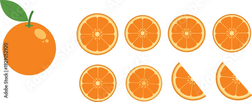 Fresh Orange Fruit Whole and Sliced Citrus Collection with Segments and Wedges Vector Illustration Set