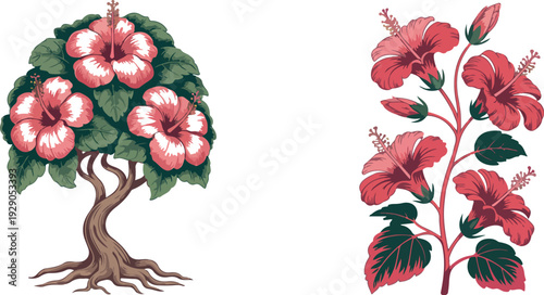 Hibiscus Plant Illustration with Tropical Red Flower Exotic Floral Botanical Vector Artwork Garden Nature Decorative Design
