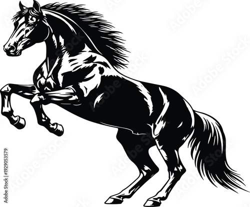 Black and white horse silhouette rearing up, powerful stallion vector illustration, stylized mustang mascot logo for equestrian sports and wild nature.