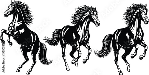 Black and white horse silhouette set featuring powerful stallions galloping and rearing with flowing manes isolated on a white background.