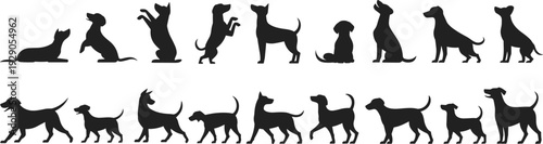 Dog silhouette collection showing multiple canine poses, walking, sitting, running, standing, playful puppy positions, isolated black vector icons set illustration