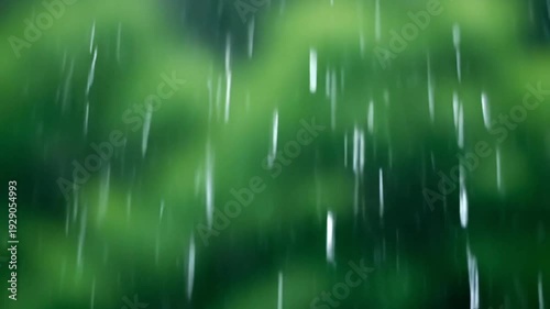 A blurred view of rain falling through green foliage.