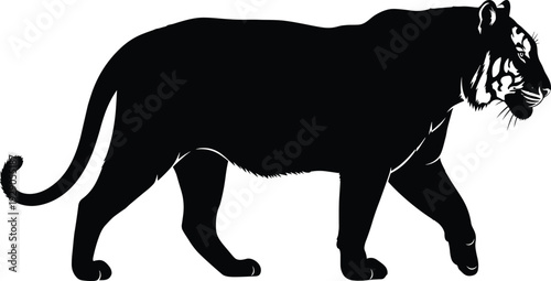 Black and white tiger silhouette walking isolated on white background for tribal tattoo animal logo wildlife vector illustration and mascot.