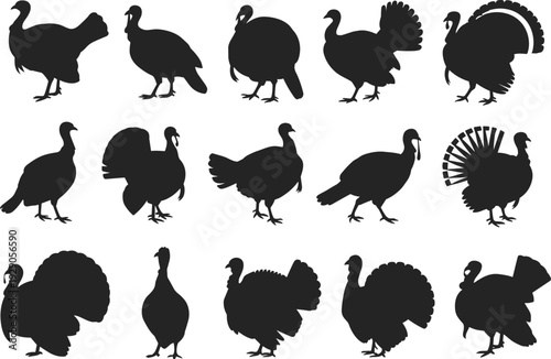 Turkey silhouette set, wild turkey poses collection, black bird icons, thanksgiving poultry shapes, farm animal vector illustration pack