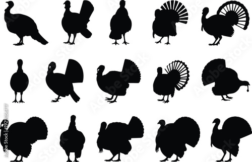 Turkey silhouettes collection, wild turkey bird poses, black animal shapes, thanksgiving poultry design set, isolated on white background