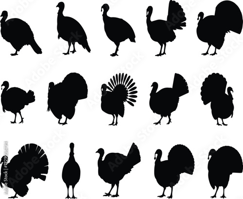 Collection of wild turkey silhouettes in different poses black vector set isolated on white background for design branding and print