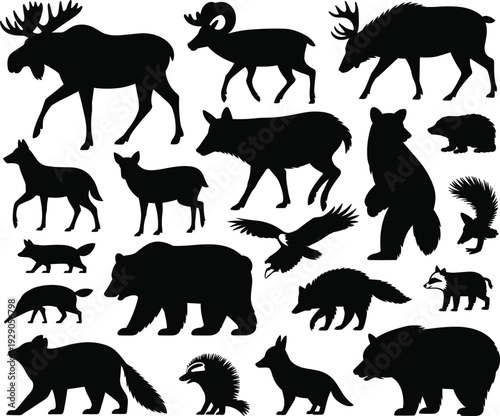 Wild forest animal silhouettes collection featuring bear deer moose boar wolf fox raccoon eagle isolated black vector set wildlife illustration